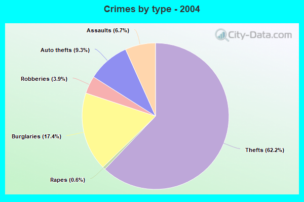 Crimes by type - 2004