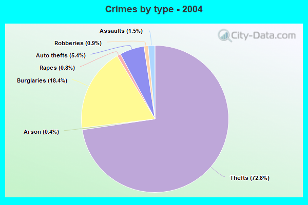Crimes by type - 2004