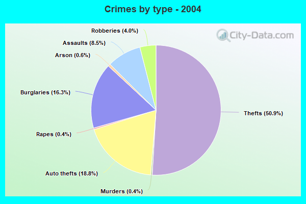 Crimes by type - 2004