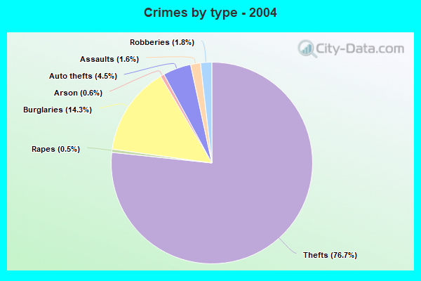 Crimes by type - 2004