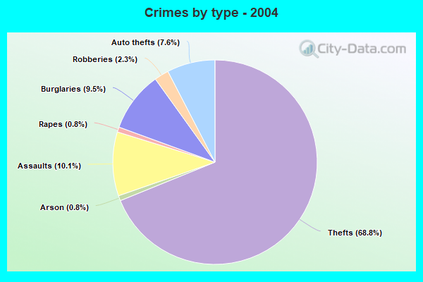 Crimes by type - 2004