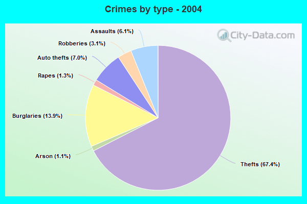 Crimes by type - 2004