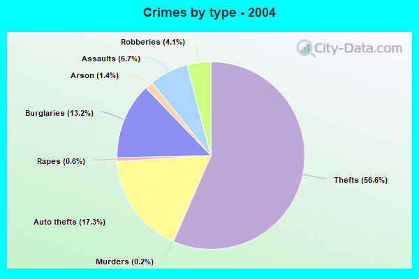 Crimes by type - 2004