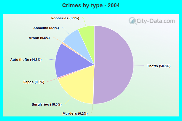 Crimes by type - 2004