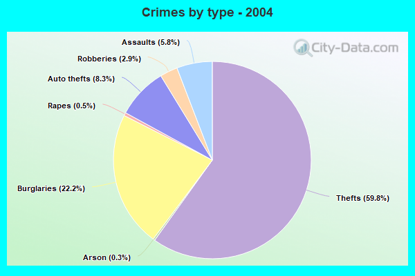 Crimes by type - 2004