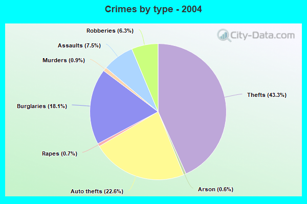Crimes by type - 2004