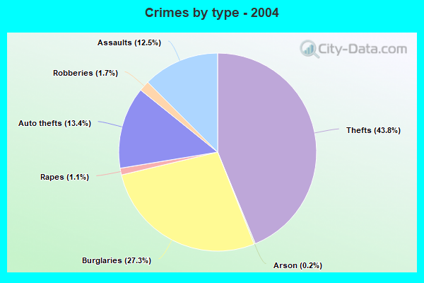 Crimes by type - 2004