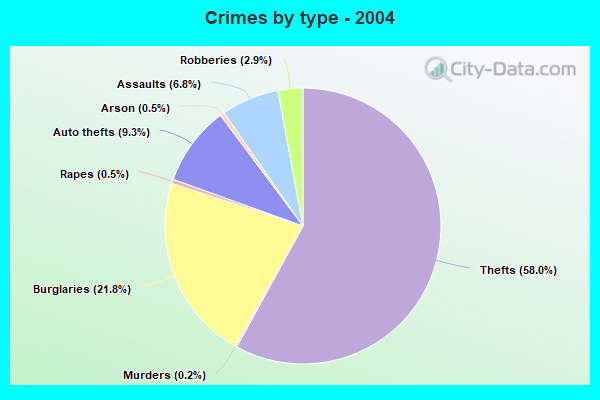 Crimes by type - 2004