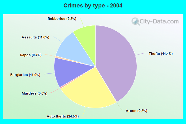 Crimes by type - 2004