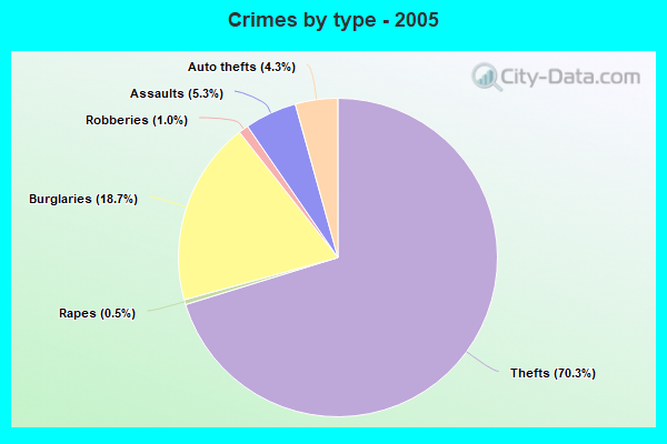 Crimes by type - 2005