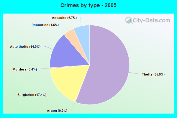 Crimes by type - 2005