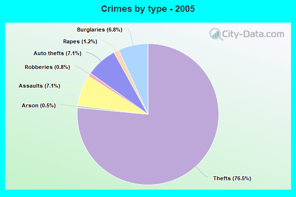 Crimes by type - 2005