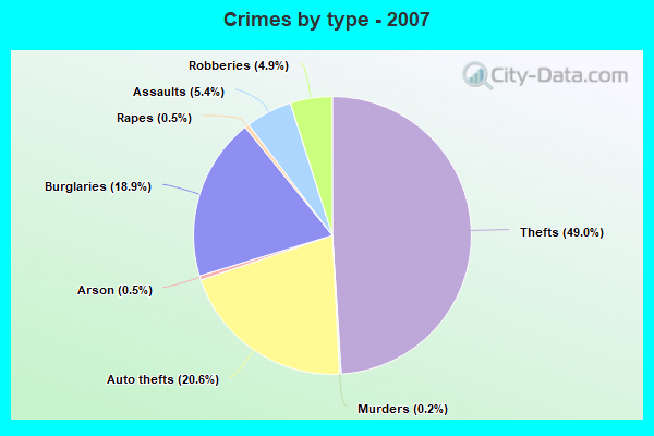 Crimes by type - 2007