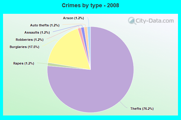 Crimes by type - 2008
