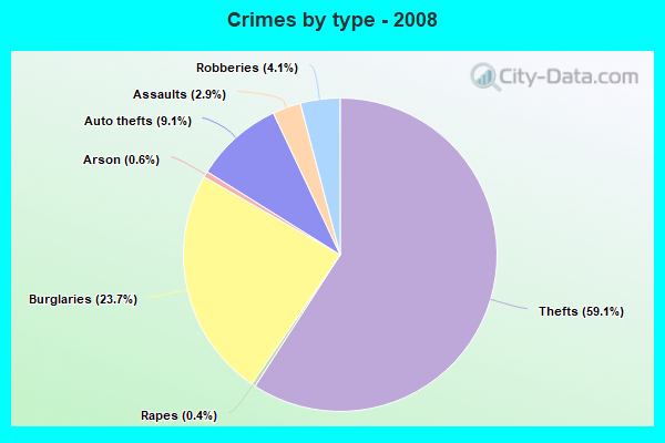 Crimes by type - 2008
