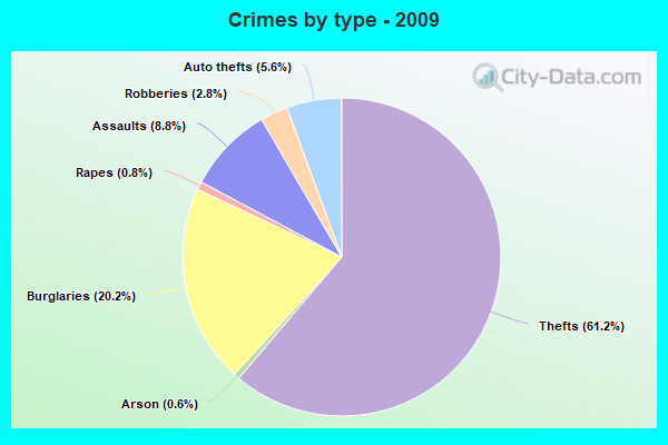 Crimes by type - 2009