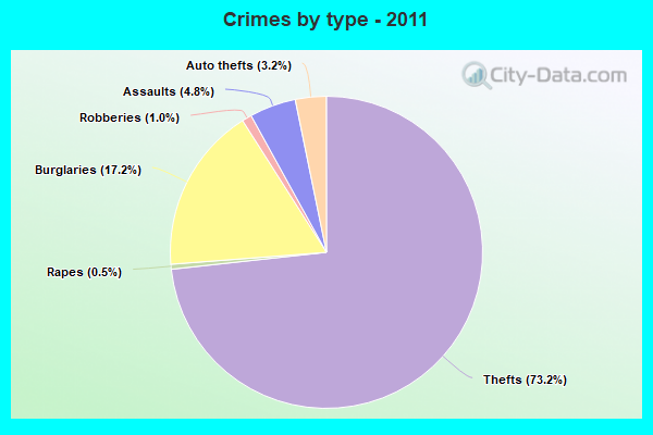 Crimes by type - 2011