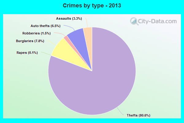 Crimes by type - 2013