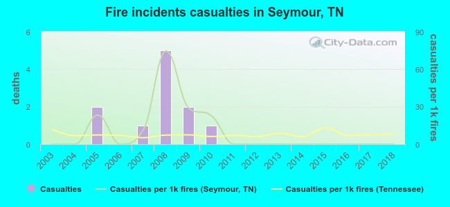 Fire incidents casualties in Seymour, TN
