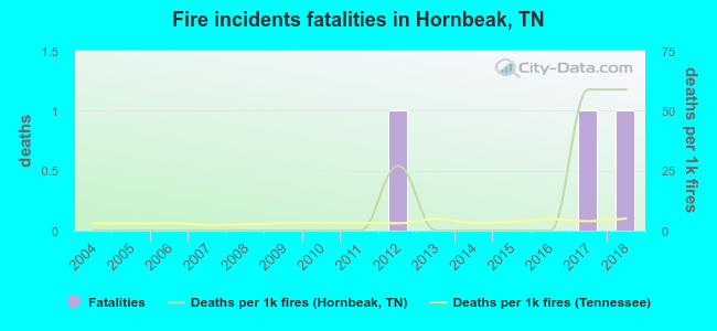 Fire incidents fatalities in Hornbeak, TN