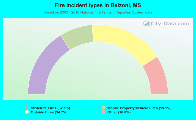 Fire incident types in Belzoni, MS