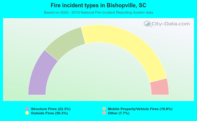 Fire incident types in Bishopville, SC