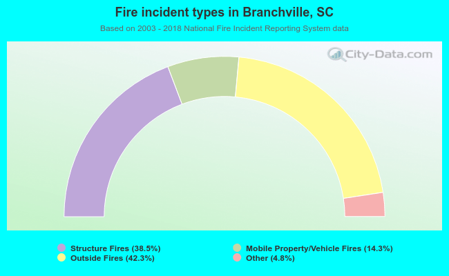 Fire incident types in Branchville, SC