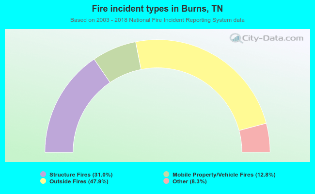 Fire incident types in Burns, TN