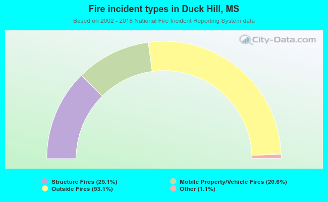 Fire incident types in Duck Hill, MS