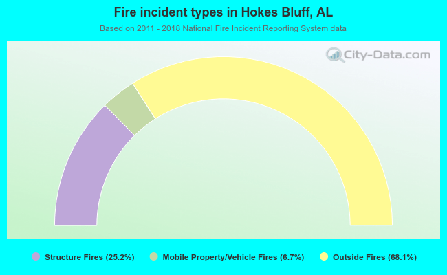 Fire incident types in Hokes Bluff, AL