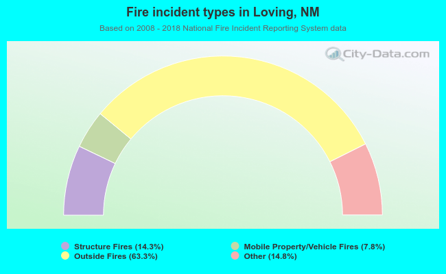 Fire incident types in Loving, NM