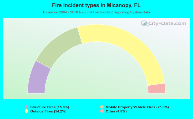 Fire incident types in Micanopy, FL
