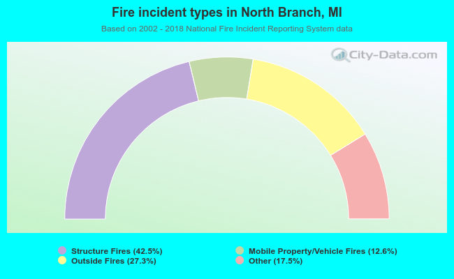 Fire incident types in North Branch, MI