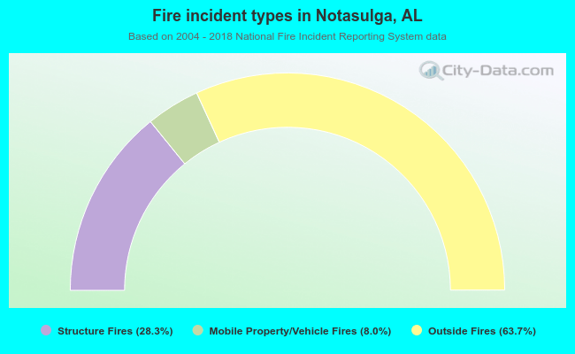 Fire incident types in Notasulga, AL