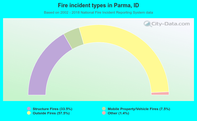 Fire incident types in Parma, ID