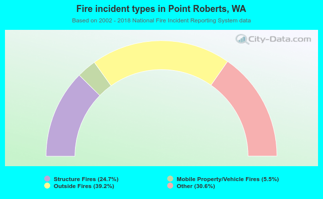 Fire incident types in Point Roberts, WA