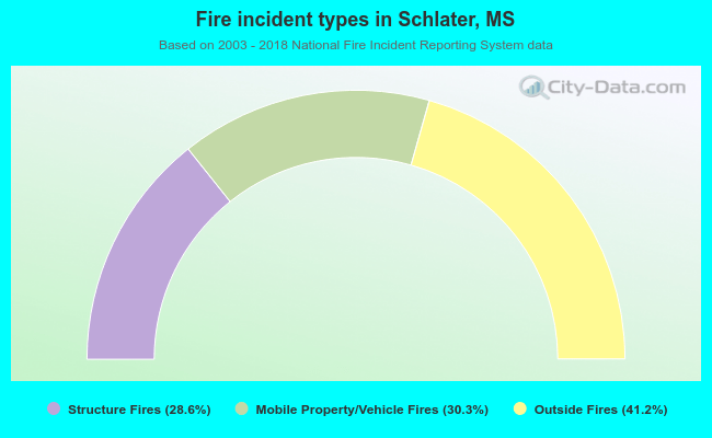 Fire incident types in Schlater, MS