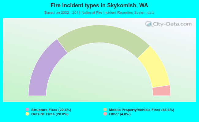 Fire incident types in Skykomish, WA