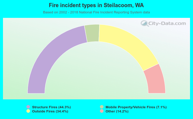 Fire incident types in Steilacoom, WA