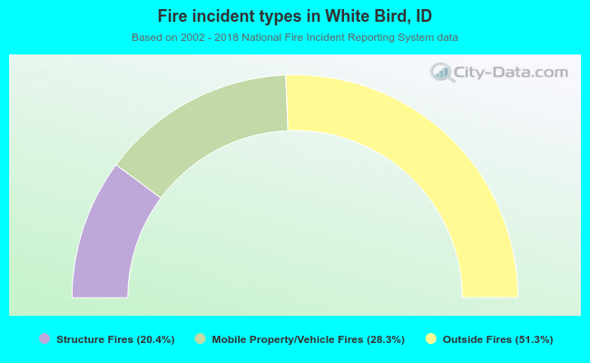 Fire incident types in White Bird, ID