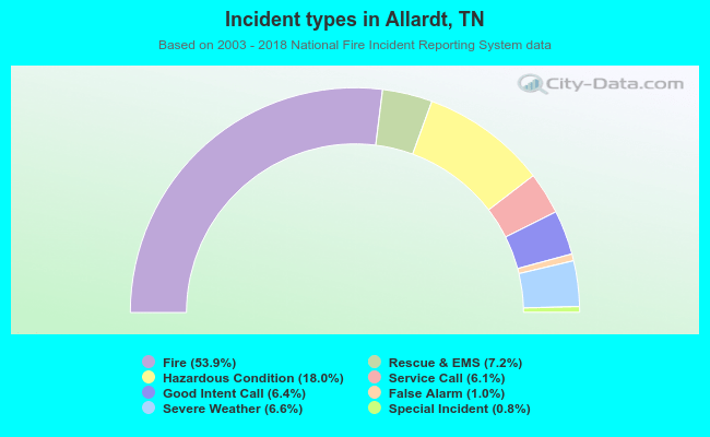 Incident types in Allardt, TN