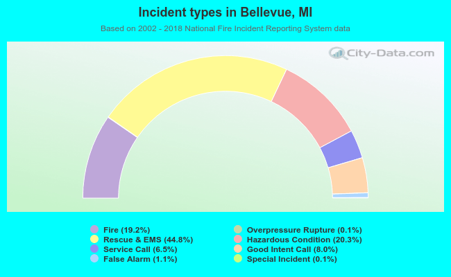Incident types in Bellevue, MI