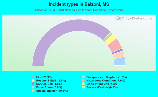 Incident types in Belzoni, MS