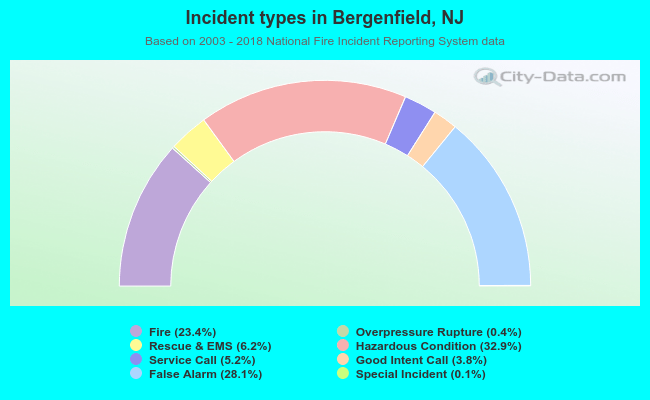 Incident types in Bergenfield, NJ