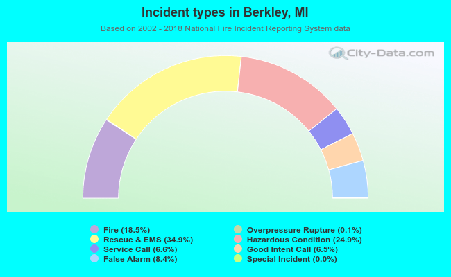 Incident types in Berkley, MI