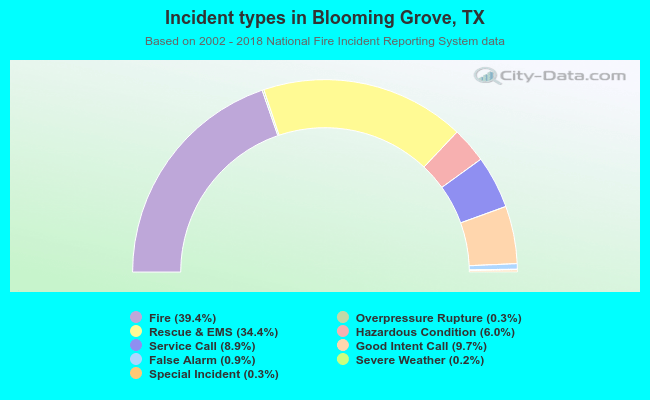 Incident types in Blooming Grove, TX
