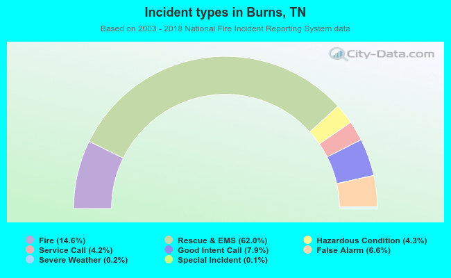 Incident types in Burns, TN