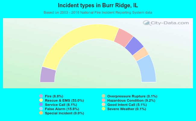 Incident types in Burr Ridge, IL