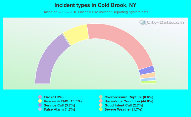 Incident types in Cold Brook, NY