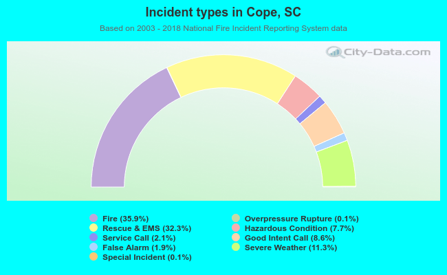 Incident types in Cope, SC